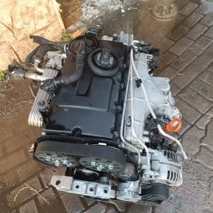 BDV V6